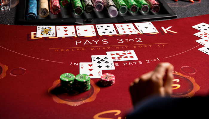apaldo website image 1394 showing tg traditional blackjack